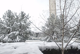 Winter campus. Links to Gifts of Real Estate