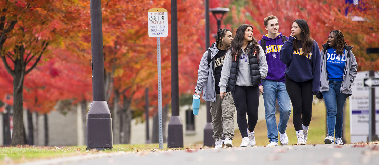 A patch of tulips near the podium.